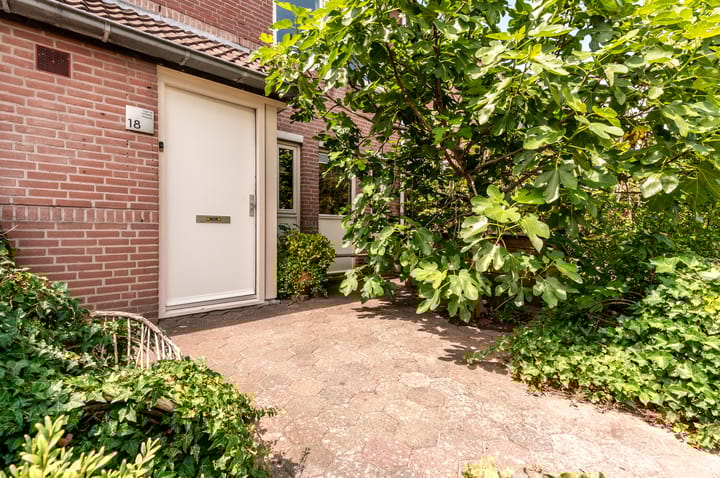 Foto 4 van Murenepad 18