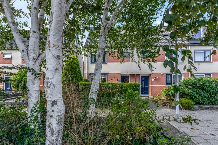 Photo 5 of Waterlelie 36