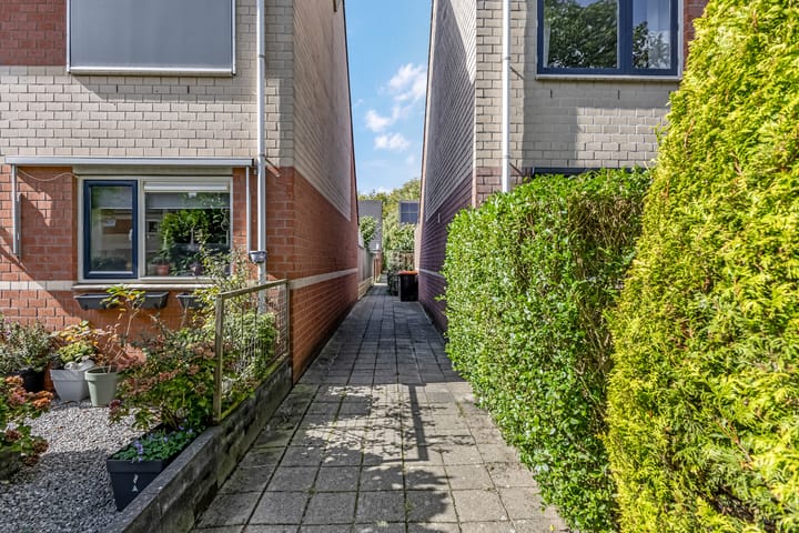 Photo 8 of Waterlelie 36