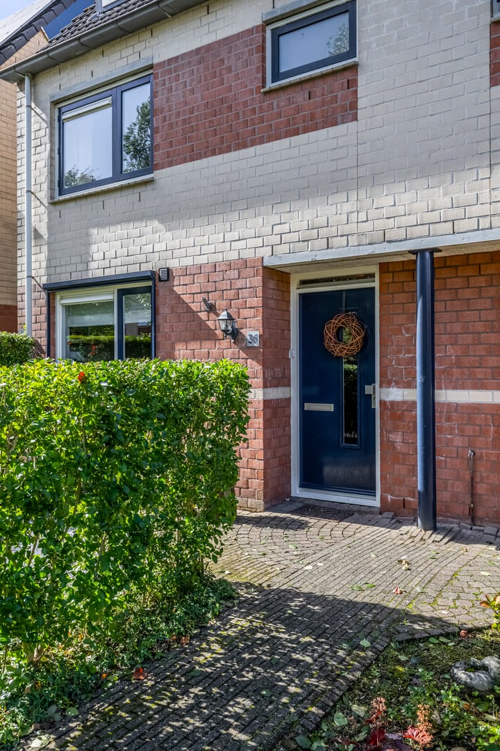 Photo 63 of Waterlelie 36