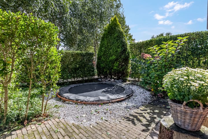 Photo 10 of Waterlelie 36