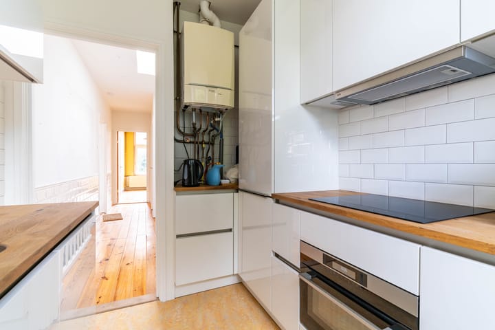 Foto 15 van Van Loostraat 100-A