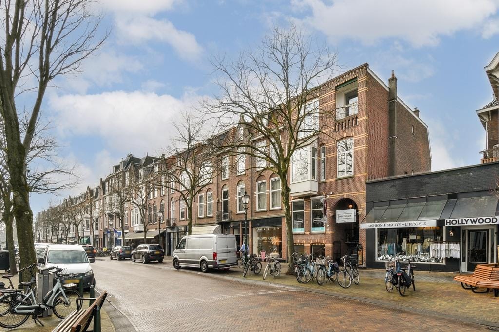Photo 17 of Van Loostraat 100-A