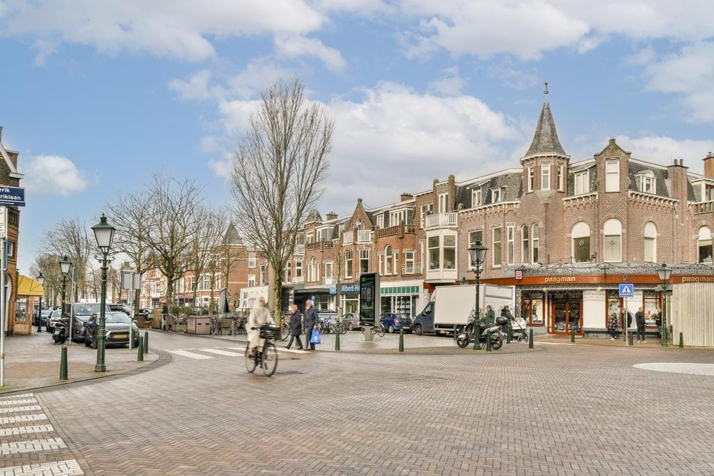 Photo 18 of Van Loostraat 100-A