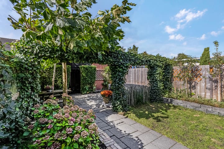 Photo 50 of Waterlelie 36