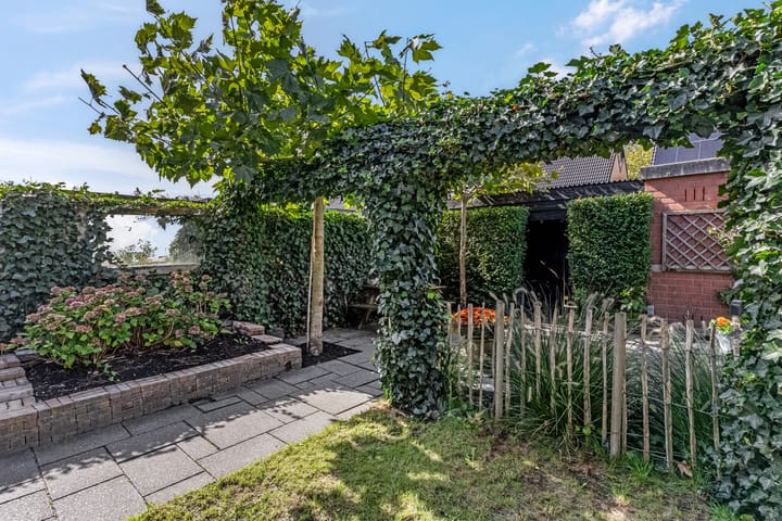 Photo 51 of Waterlelie 36