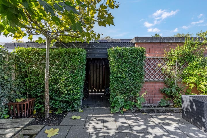 Photo 57 of Waterlelie 36