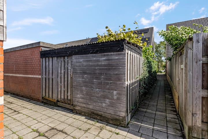 Photo 58 of Waterlelie 36