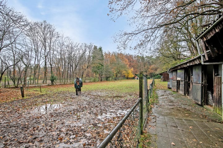 Foto 39 van Westrik 6