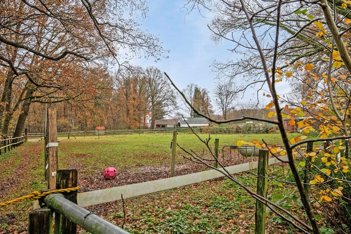 Foto 41 van Westrik 6