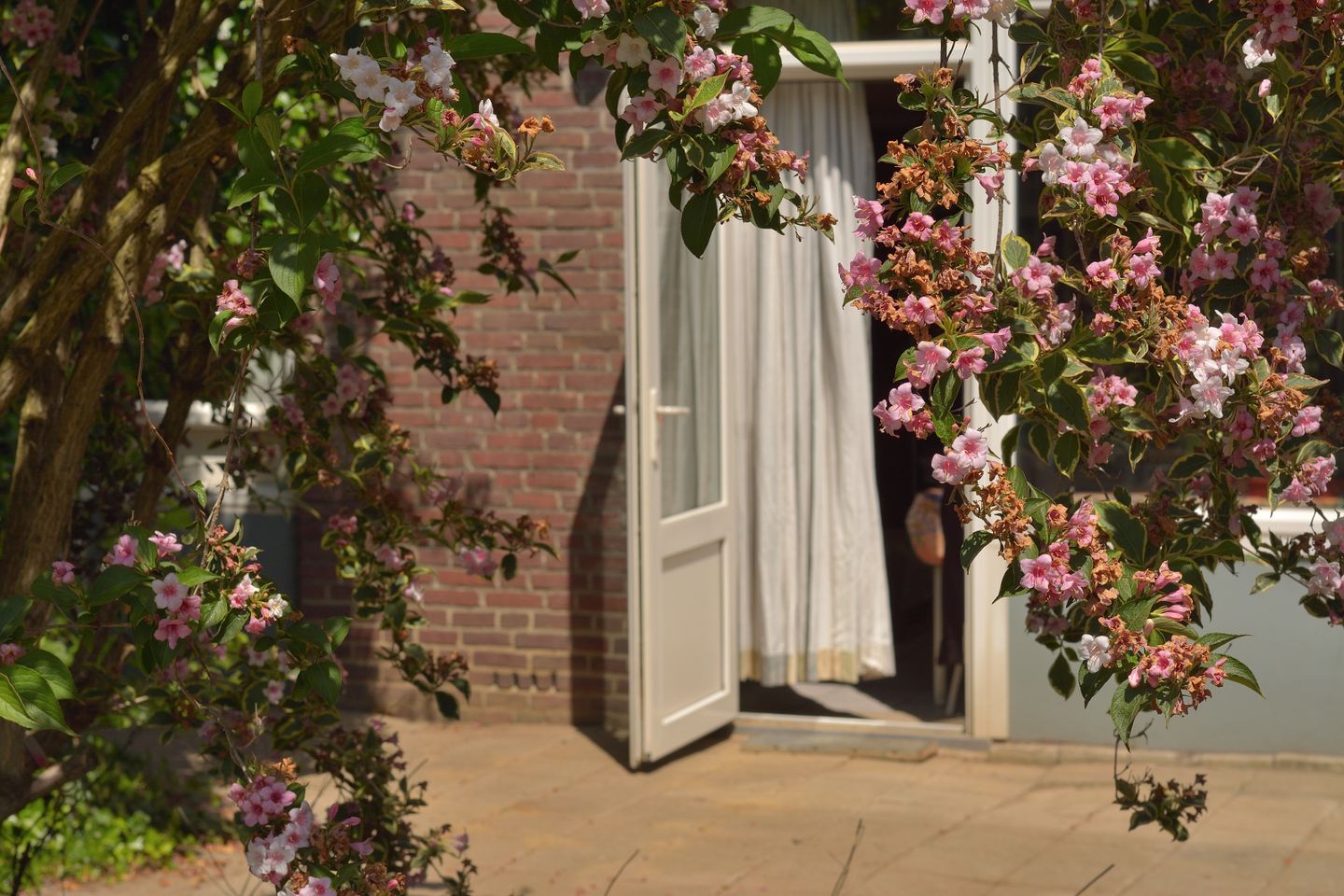 Foto 20 van Willemstraat 59