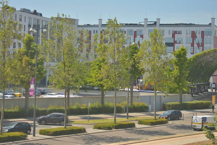 Photo 29 of Willemstraat 59