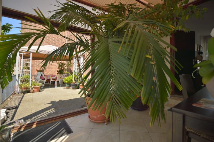 Photo 30 of Willemstraat 59