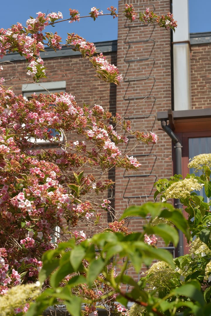 Photo 21 of Willemstraat 59