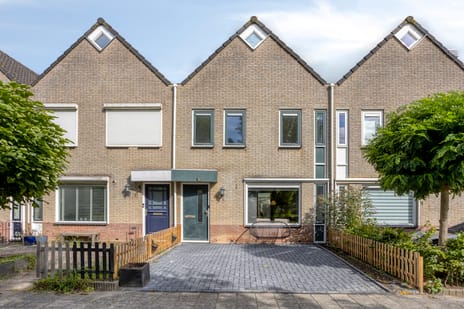 undefined main image