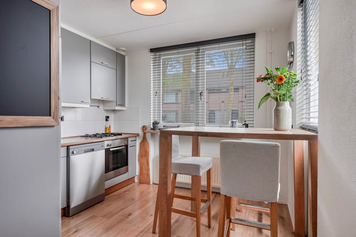 Foto 11 van Langvennen-Zuid 105