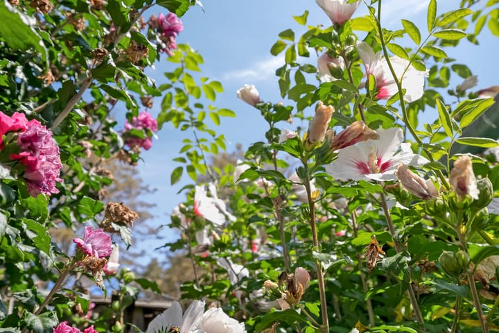 Photo 32 of Haaglaan 5