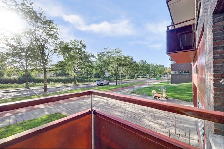 Foto 19 van Vondellaan 1