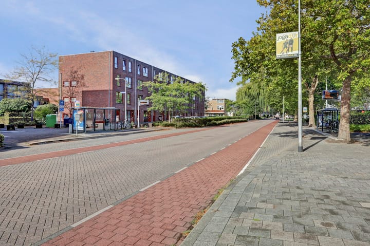 Foto 42 van Vondellaan 1