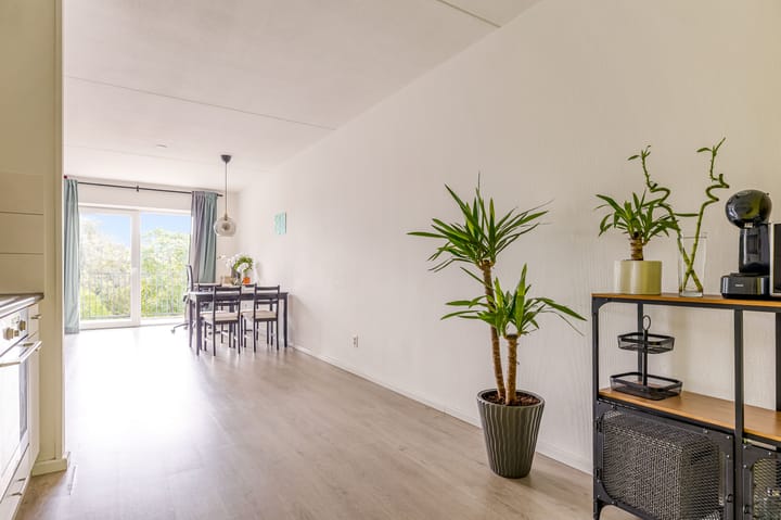 Foto 16 van Transvaaldreef 29