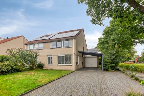 undefined main image