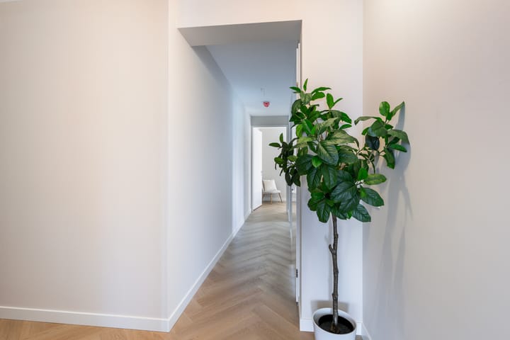 Foto 5 van Oranjeboomstraat 4-X