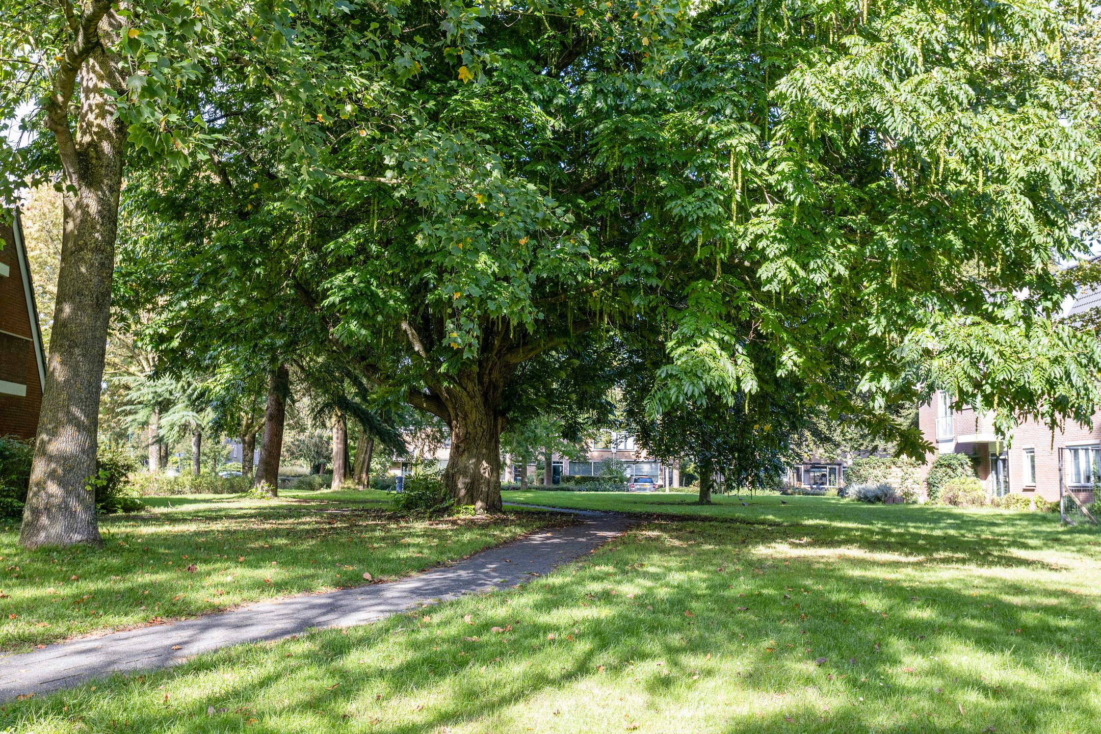 Foto 33 van Meentweg 87