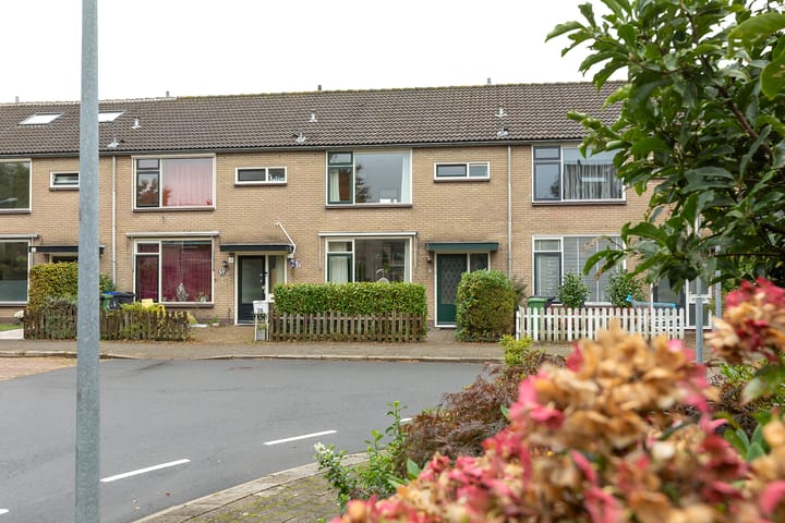 Foto 4 van Calvijnhof 34
