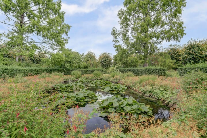 Photo 60 of Hoge Startwijk 1