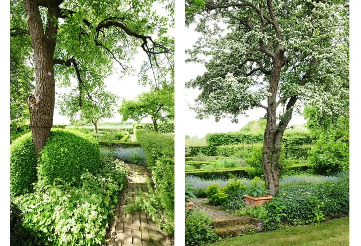 Photo 63 of Hoge Startwijk 1