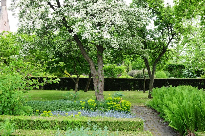 Photo 64 of Hoge Startwijk 1