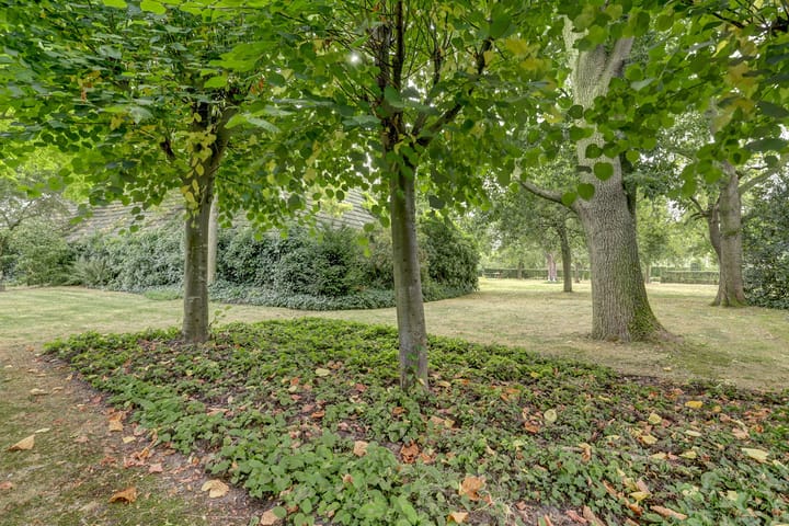 Photo 66 of Hoge Startwijk 1