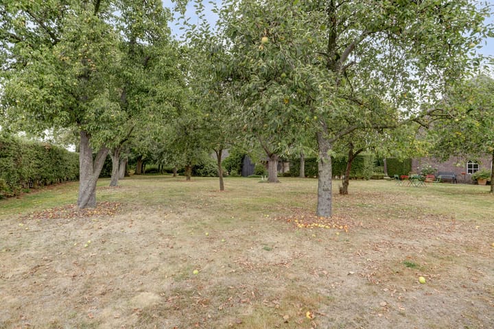 Photo 72 of Hoge Startwijk 1