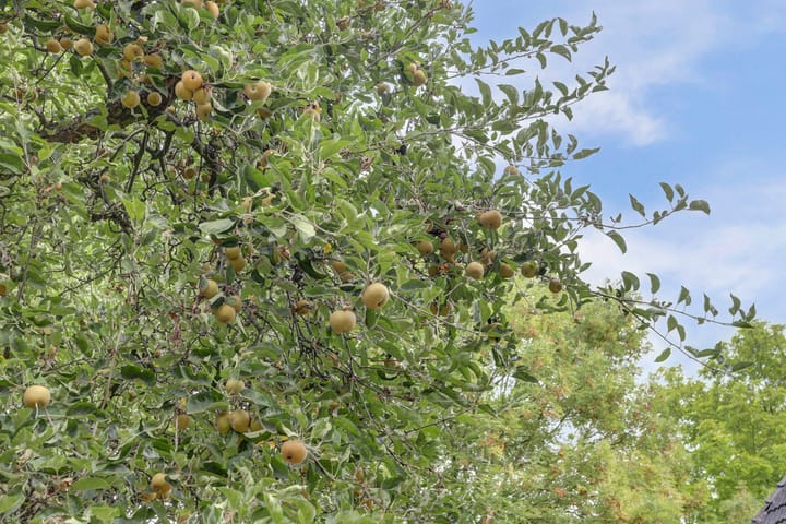 Photo 70 of Hoge Startwijk 1