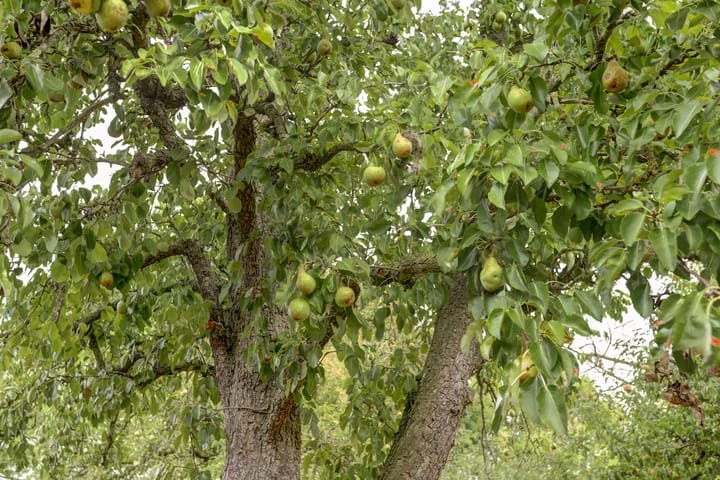 Photo 73 of Hoge Startwijk 1