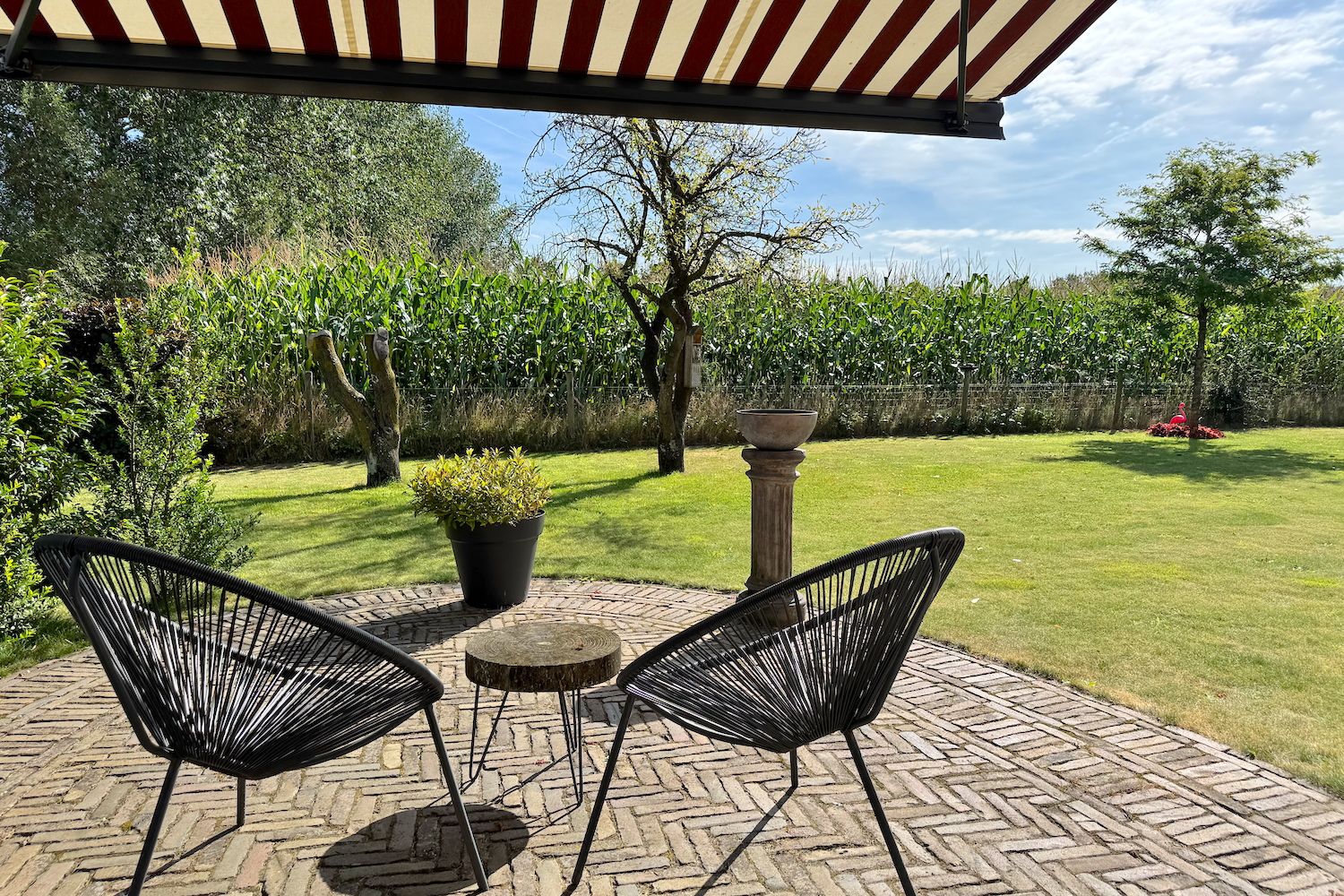 Foto 6 van Kleuterstraat 20