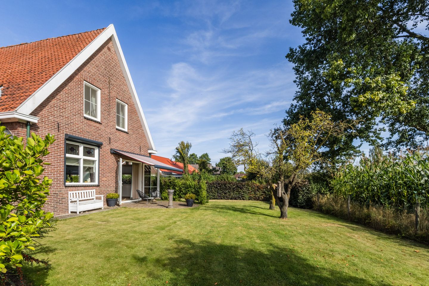 Foto 34 van Kleuterstraat 20