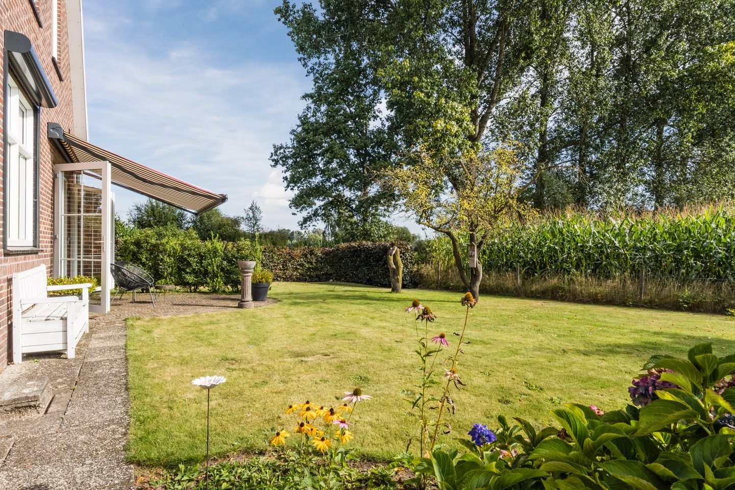 Foto 35 van Kleuterstraat 20