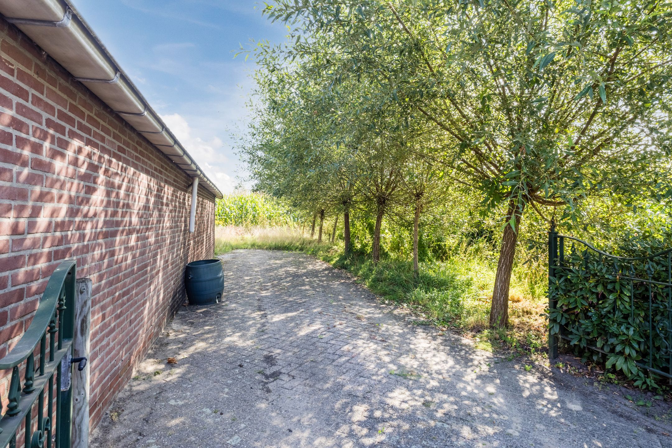 Foto 45 van Kleuterstraat 20