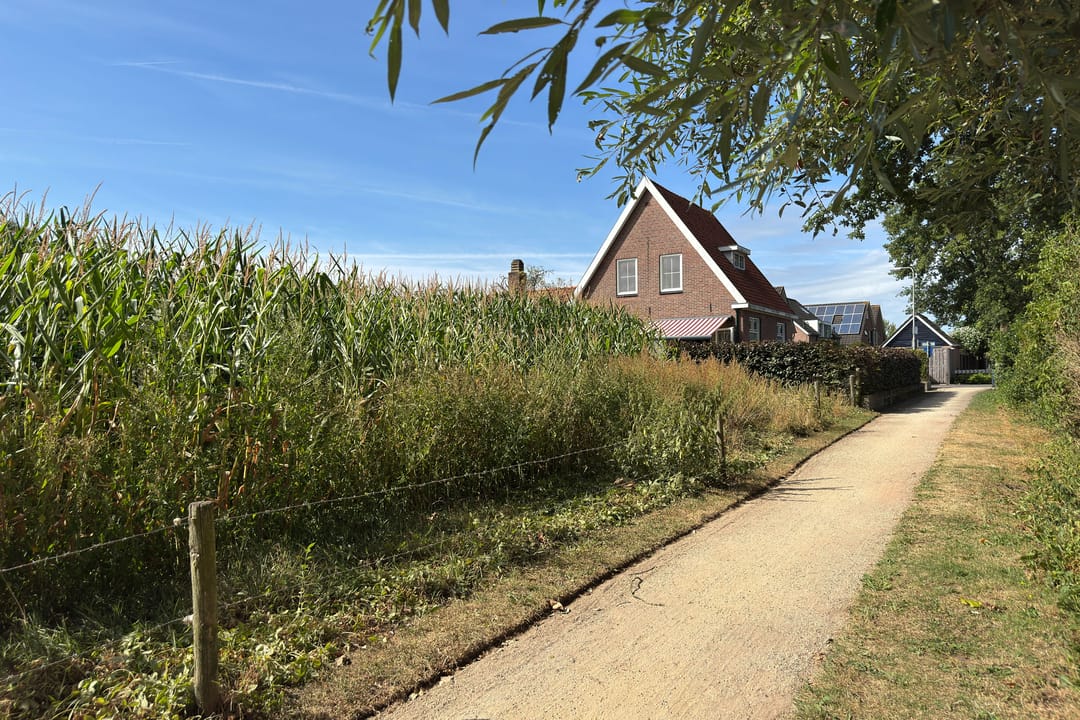 Foto 46 van Kleuterstraat 20