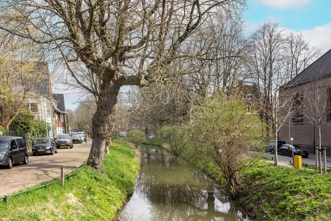 Photo 46 of Ferdinand Bolstraat 61