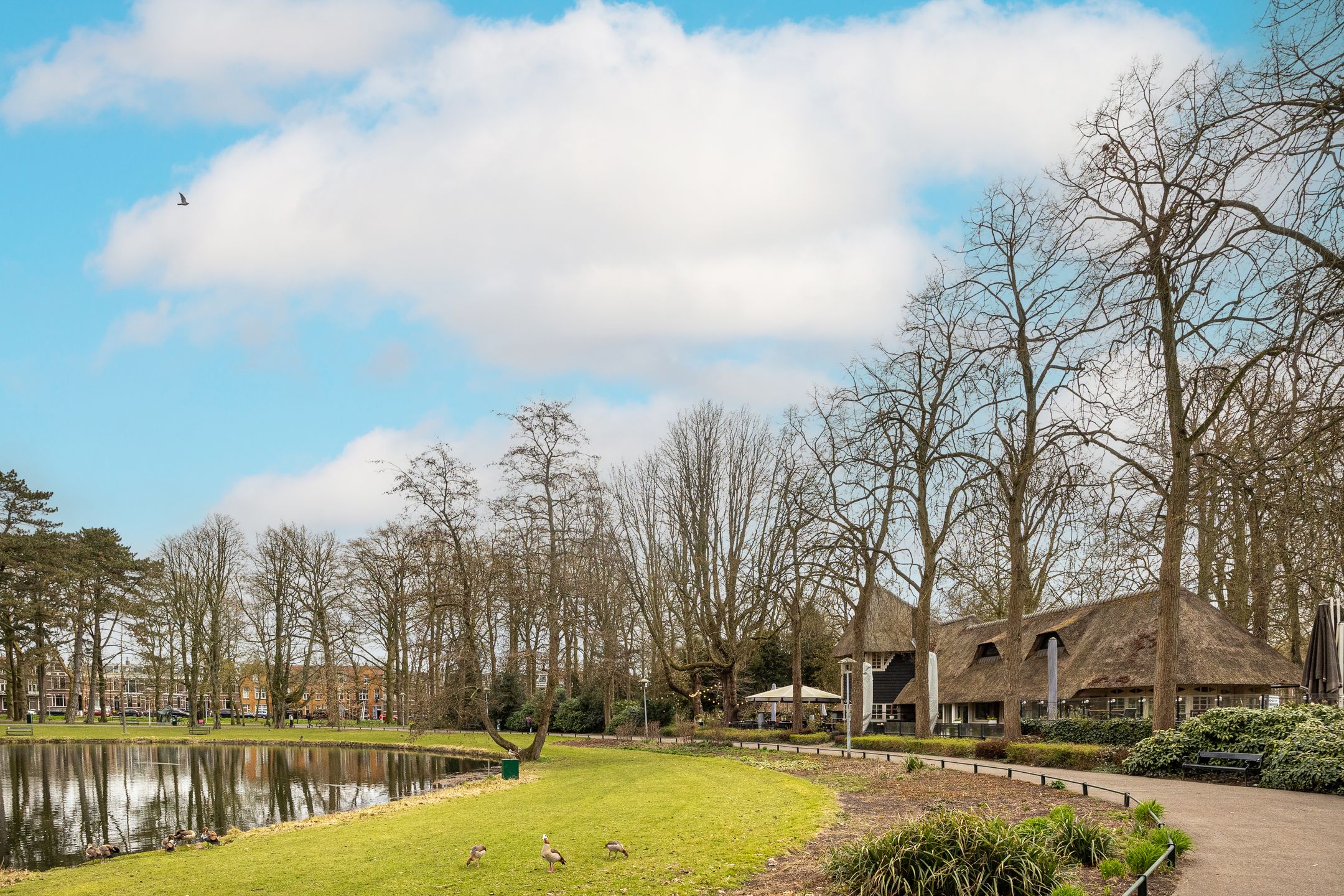 Photo 48 of Ferdinand Bolstraat 61