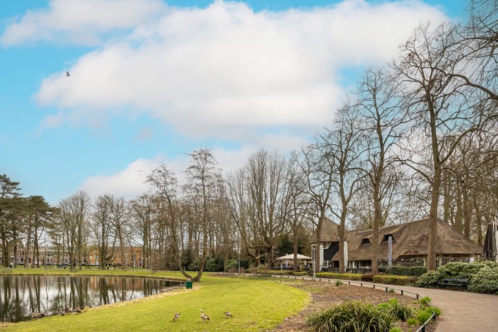 Foto 48 van Ferdinand Bolstraat 61