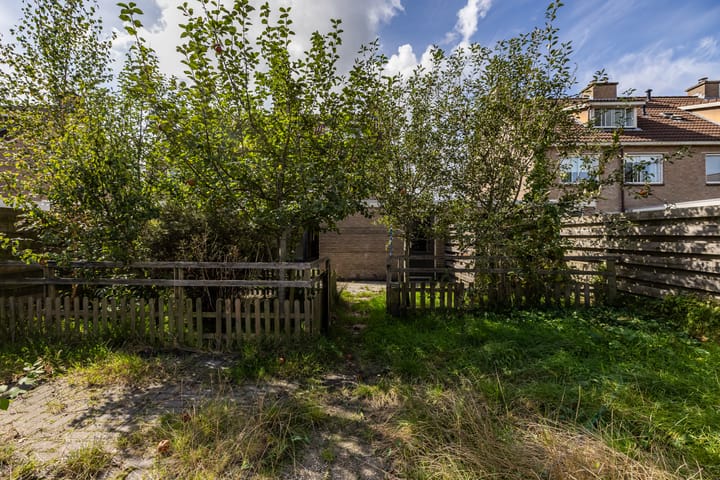 Foto 25 van Entinge 31