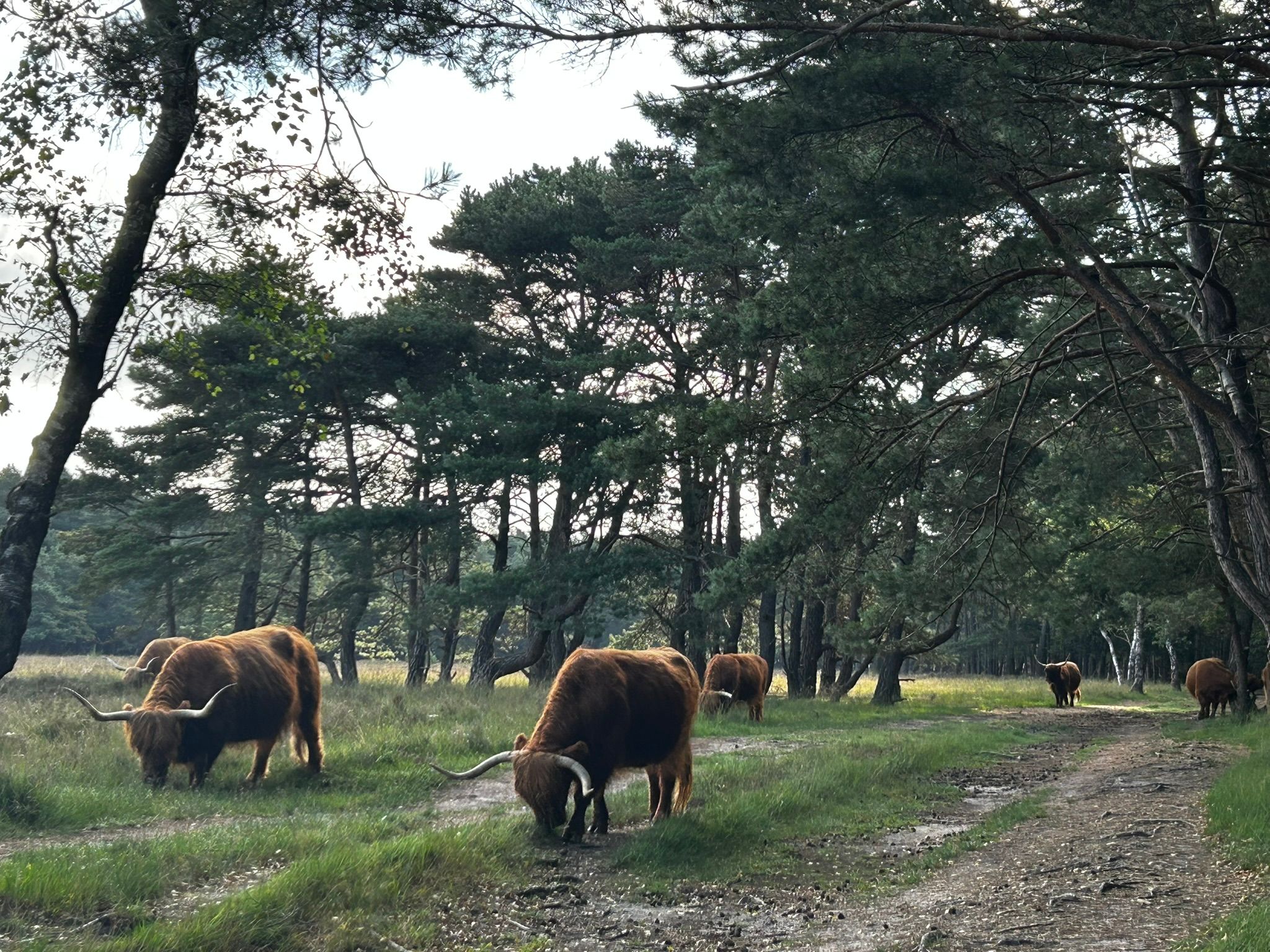 Foto 18 van Erfgooiersstraat 235