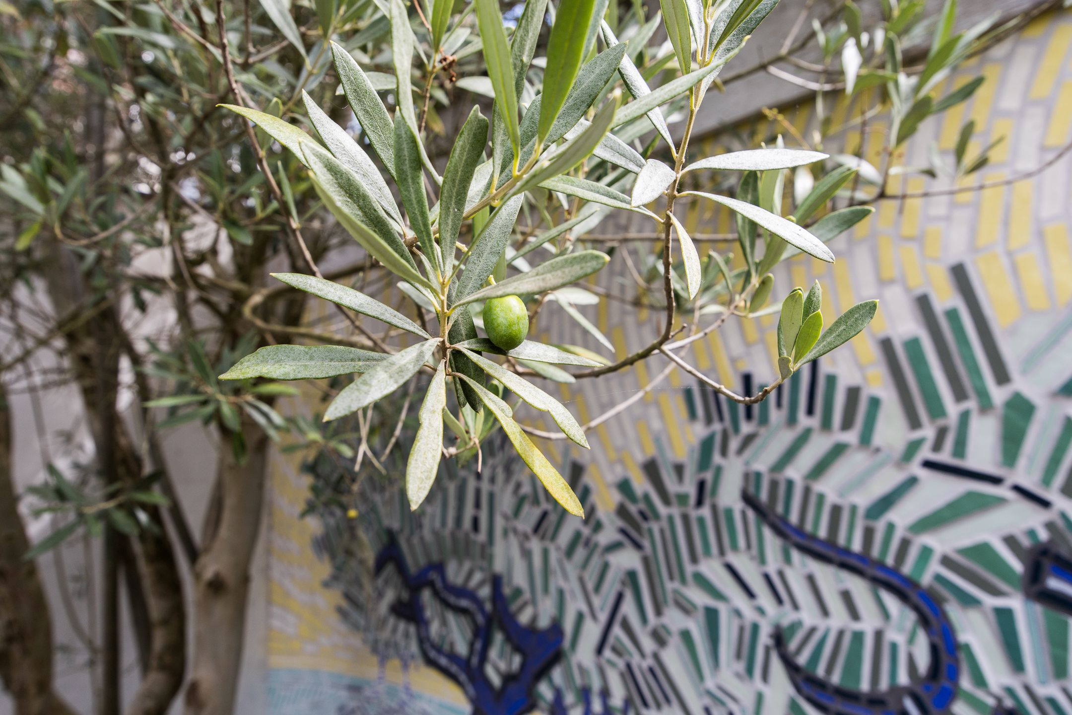 Photo 33 of Klaverstraat 35