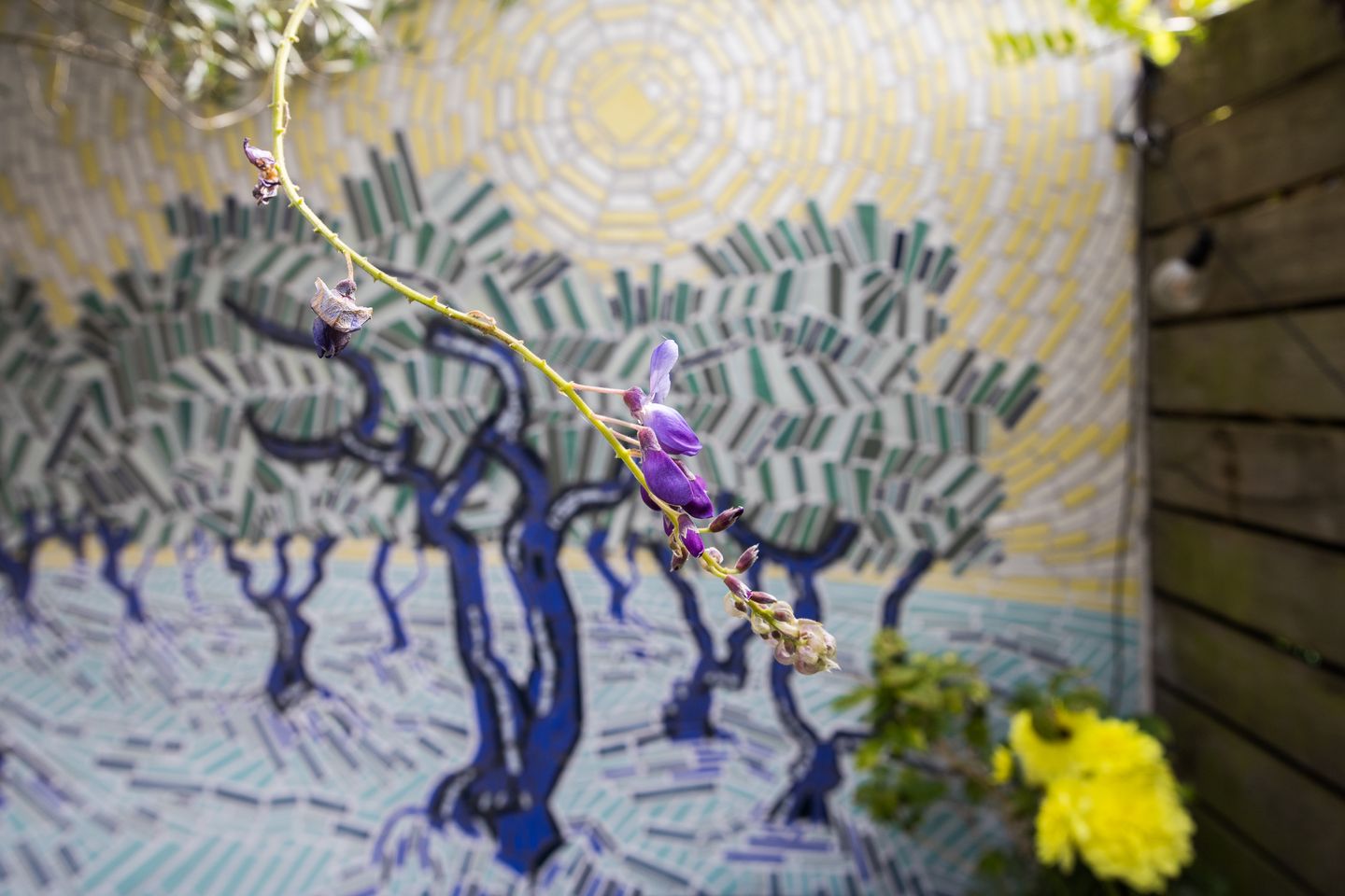 Photo 35 of Klaverstraat 35