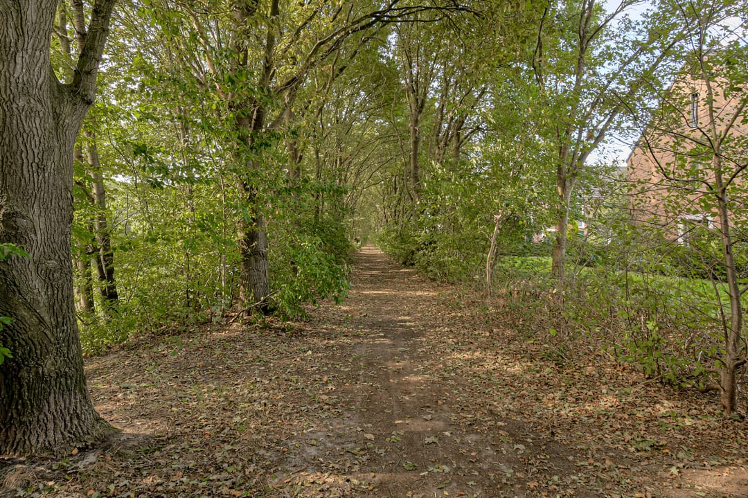 Foto 32 van Gebint 39