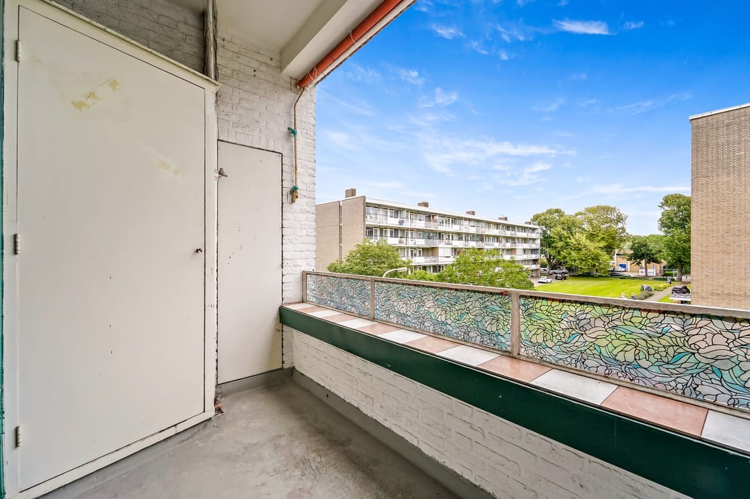 Foto 2 van Parelmoerhorst 242