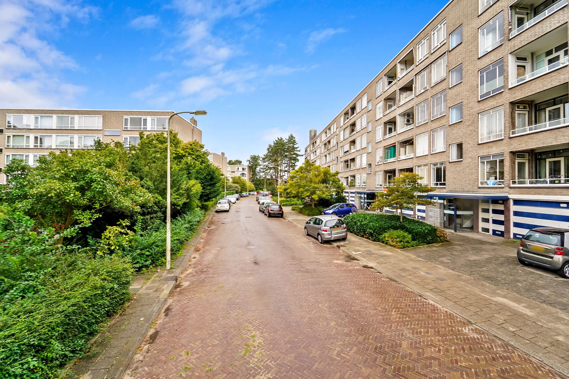 Foto 6 van Parelmoerhorst 242